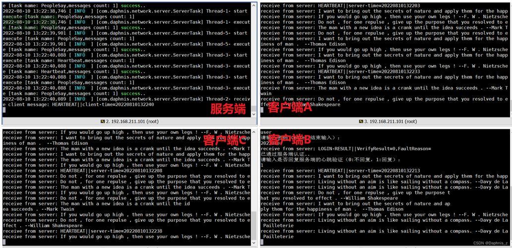 SocketError 最常见,SocketError.Success 是什么