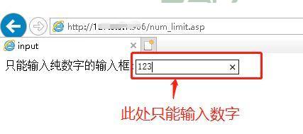 这文本框只允许输入数字,数字才是这文本框的唯一密码