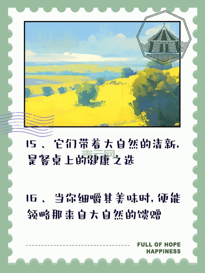 Dreamweaver 8 序列号使用指南：快速激活软件，轻松上手