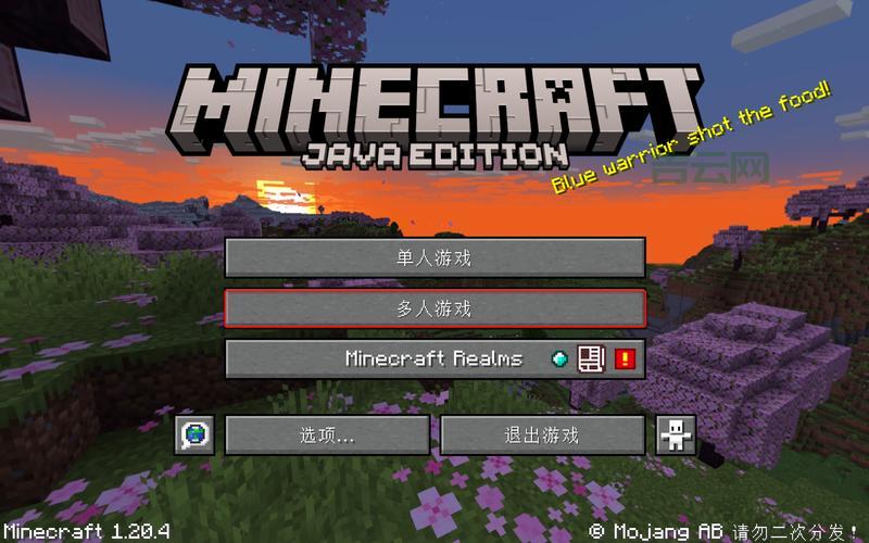 我的世界服务器地址一览，快速进入游戏