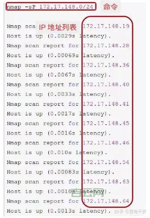 一键查电信IP地址：简单实用不求人