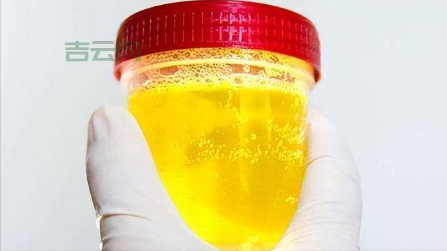 服务主机进程是什么？别慌，看完你就懂