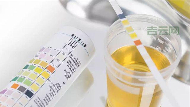 服务主机进程是什么？别慌，看完你就懂