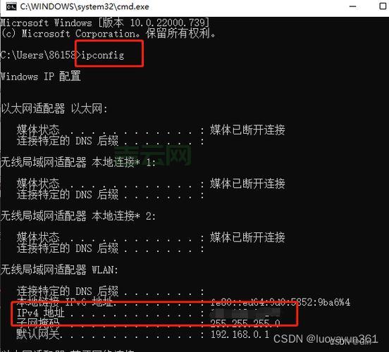 如何搭建FTP服务器：详细步骤解析