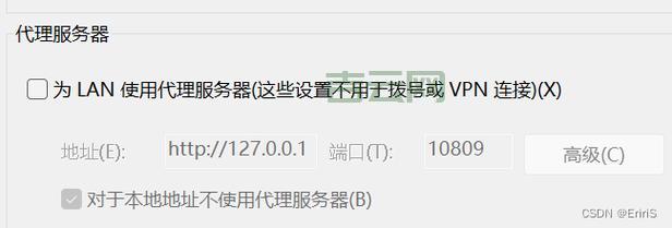 代理服务器使用指南，快速解决网络问题