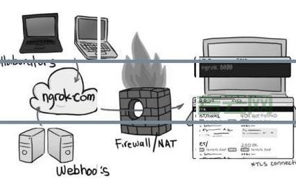 代理服务器使用指南，快速解决网络问题