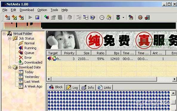 NetAnt网络蚂蚁下载神器，重温经典下载时代