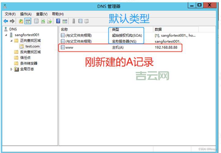 DNS服务器配置指南：如何正确设置与优化