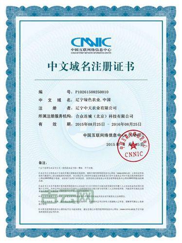 想注册中文域名？先看看这篇文章吧！