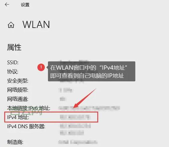 本机IP查询：快速获取你设备的IP地址