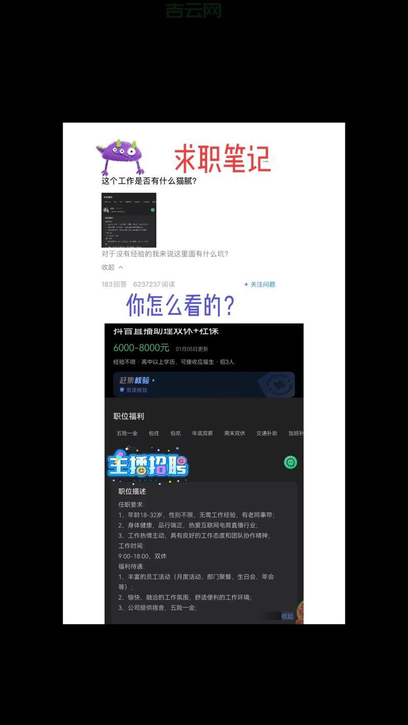 如何选择优质的IDC服务商？全面指南助您避坑