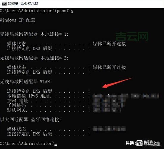 快速查询IP地址：从基础操作到工具使用