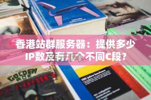 选择专业站群服务器租用，支持多IP部署全球网络