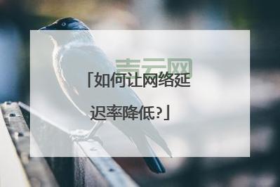 寻找最快的网通DNS地址，告别网络延迟！