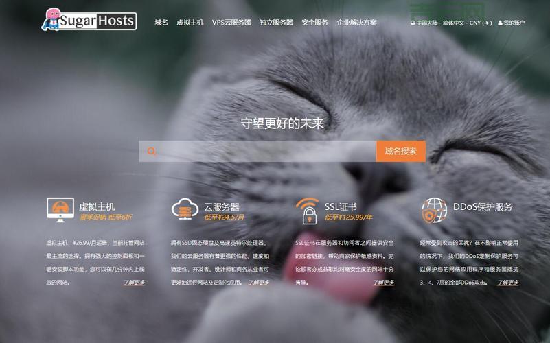 VPS换IP技巧解析：快速提升隐私安全