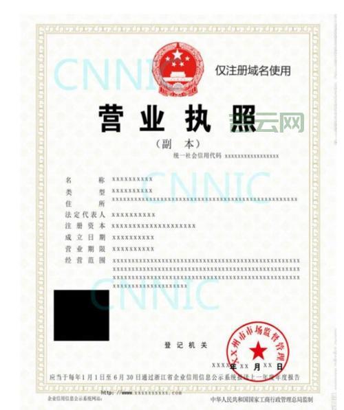 个人域名注册指南：从新手到高手，轻松搞定域名