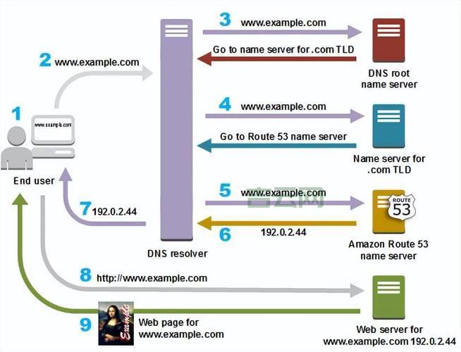 个人域名注册指南：从新手到高手，轻松搞定域名