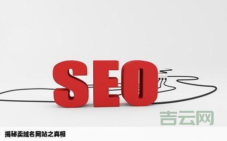 域名商大揭秘：注册域名背后的秘密