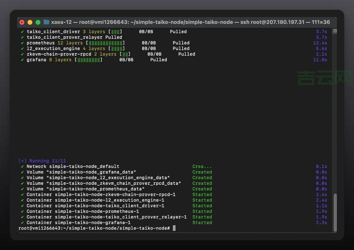 国内VPS推荐与选择指南：最佳性价比分析