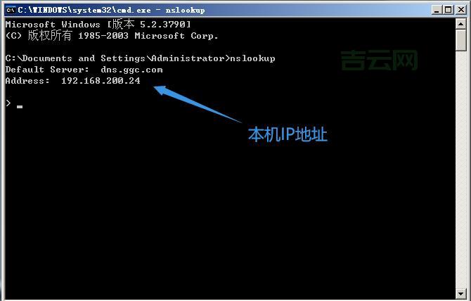 SRV记录在DNS中的作用与设置指南