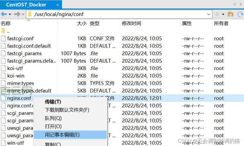 全球虚拟主机排名解析，挑选高效主机的关键