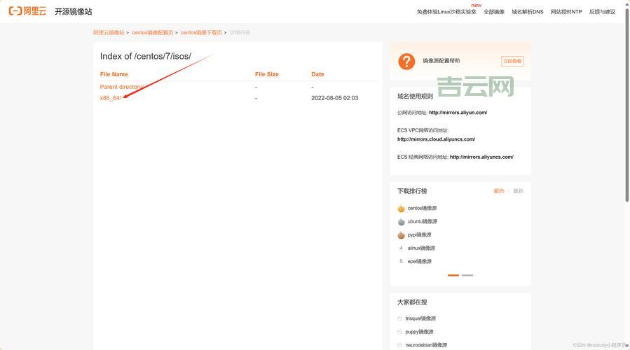 Linux虚拟主机入门：从安装到配置的全流程