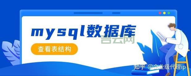稳定可靠！企业级IP代理方案