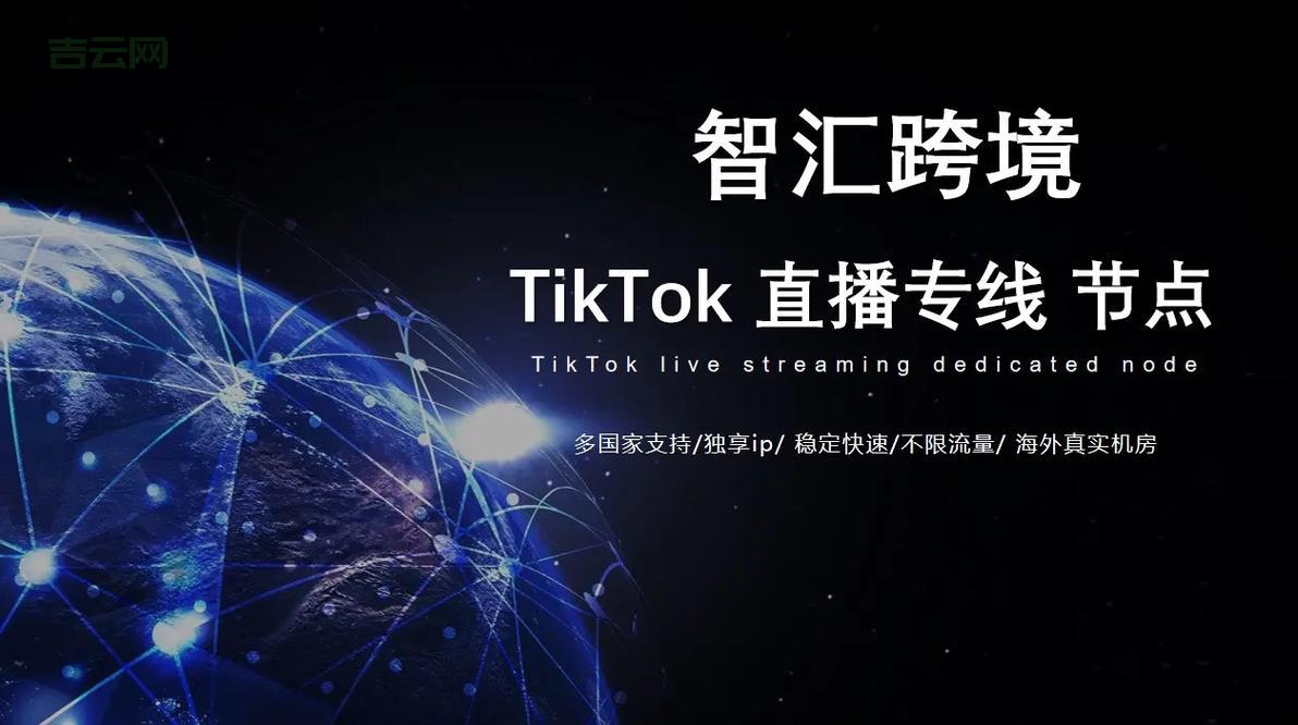 独享主机：独立IP，告别同IP影响