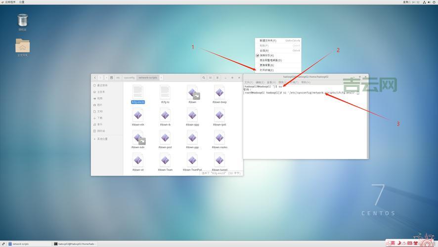 Linux虚拟主机方案：让你的服务器更强大
