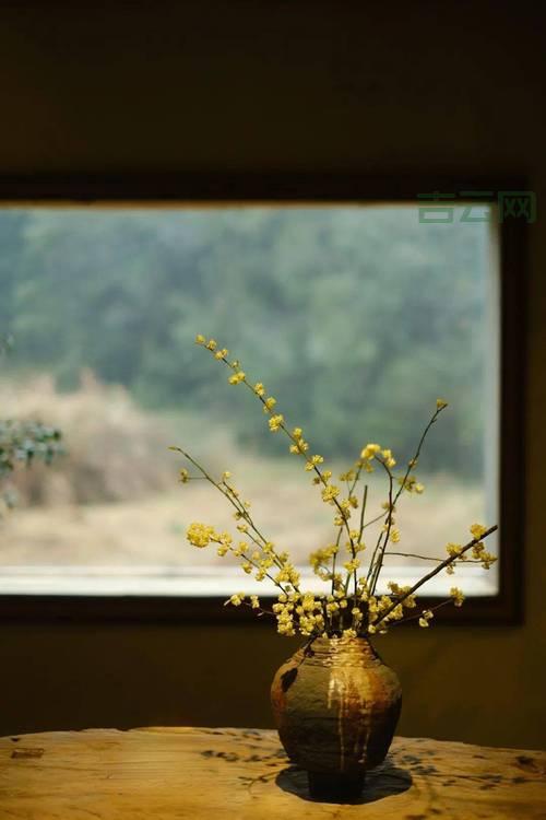 免费个人主页空间：申请后如何使用？