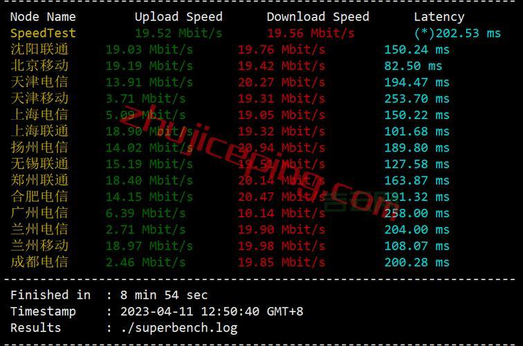 如何选择RAK服务器：独立服务器与VPS的对比分析