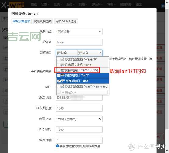 公网IP配置指南，畅享无障碍远程访问