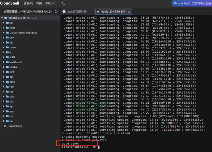 使用国外代理服务器软件：轻松解锁网络限制