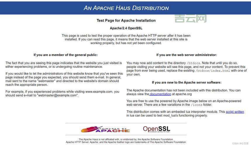 使用国外代理服务器软件：轻松解锁网络限制