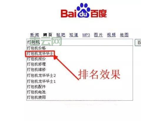 站长查询：轻松掌握网站流量与排名