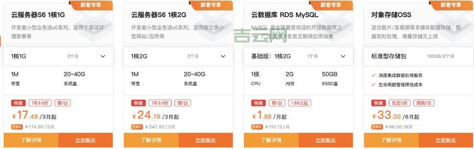 海外服务器租用价格详解：从百元到千元的选择