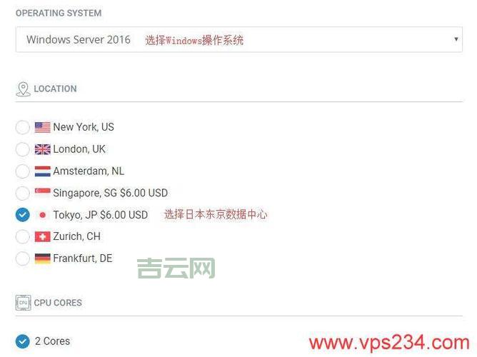 日本VPS Windows中国用户专属方案，高效稳定