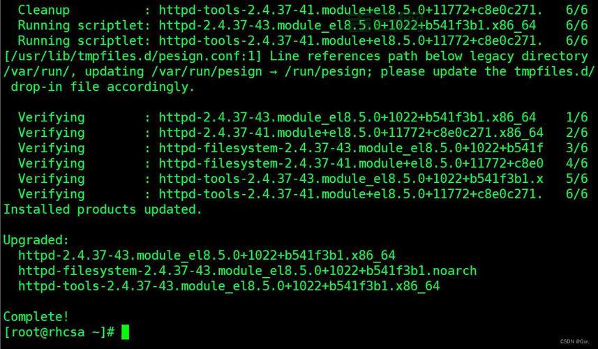 Linux虚拟主机：如何配置与优化您的网站性能