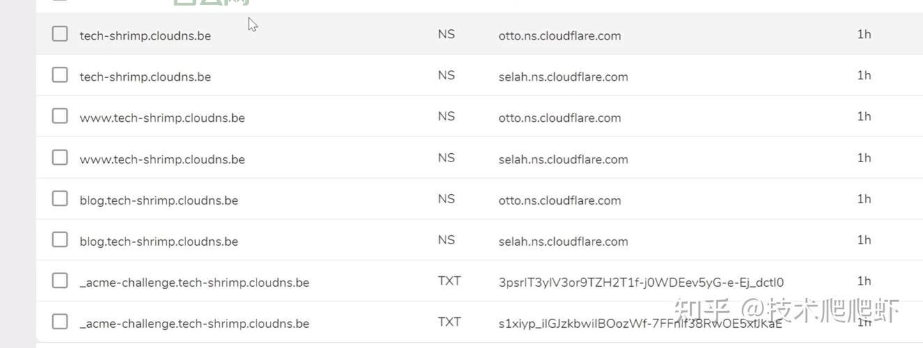 免费域名申请攻略：注册流程，平台推荐都在这里