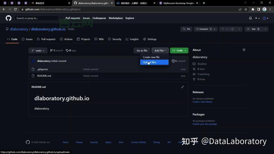如何选择适合的域名和主机搭建网站