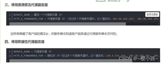 国外免费代理服务器推荐：匿名浏览，安全可靠，访问无忧