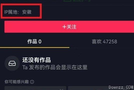 站长IP查询：掌握网站流量秘密武器