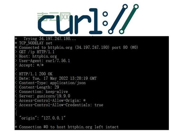 如何正确设置代理服务器：详细步骤与技巧