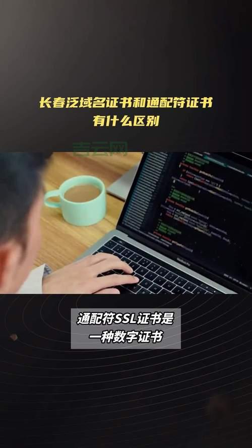 专业长春域名申请 - 助力企业网站快速上线