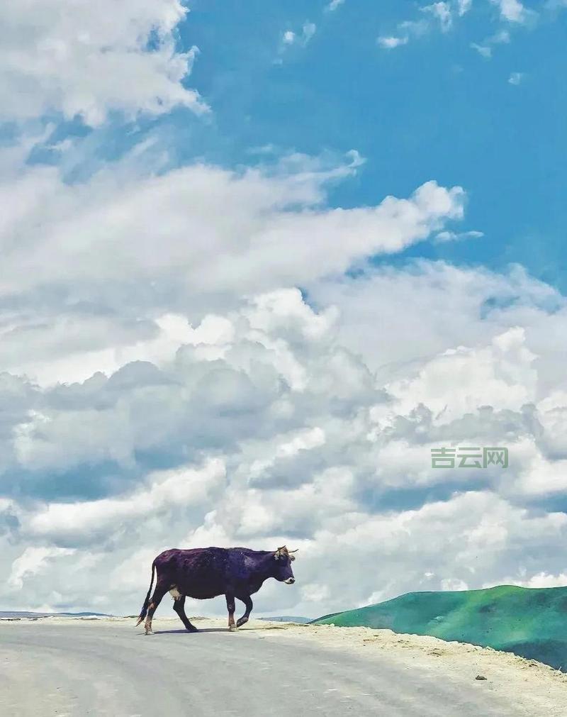 震撼“海啸云”奇观视频走红，专家揭秘罕见气象现象