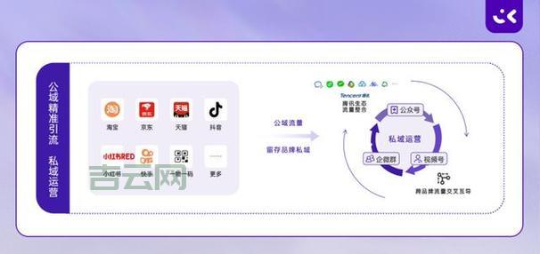 三拼域名的价值：从品牌建设到自然流量获取