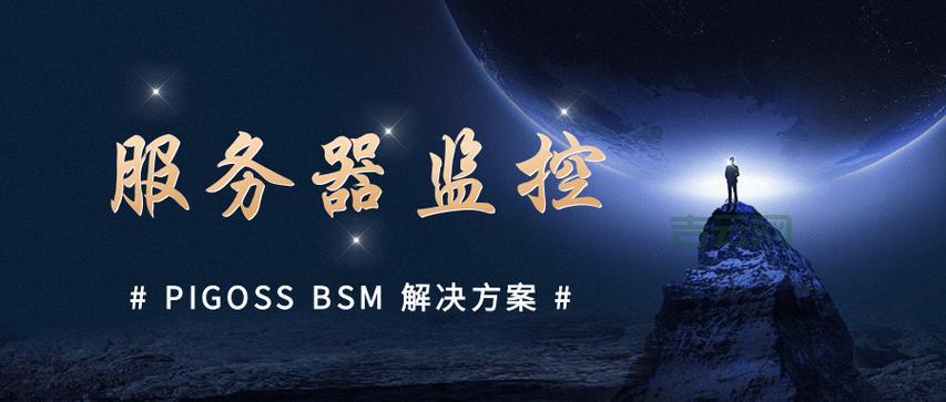 服务器监控软件：全面了解服务器性能，保障业务稳定