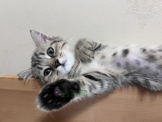 Glod是什么意思？简单口语化解释Glod含义