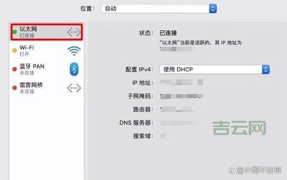 怎么查IP地址：详细操作步骤解析