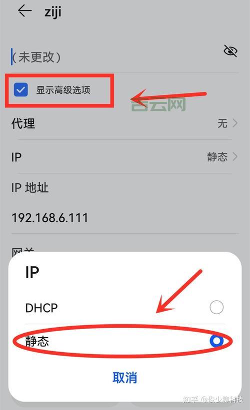 手机电脑怎么伪装IP？简单几步实现IP自由切换